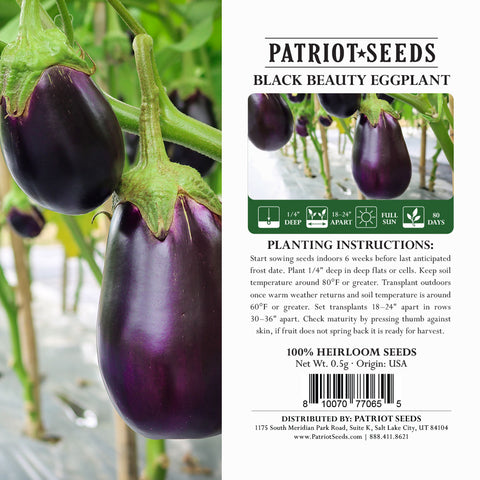 Image of black beauty eggplant seeds package label