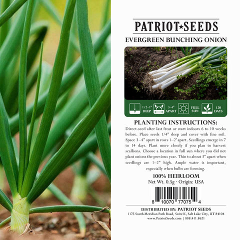 Image of evergreen bunching onions product label