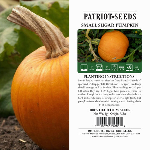 Image of heirloom small sugar pumpkin package label