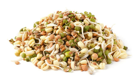 Image of Organic Bean Salad Mix Sprouting Seeds by Patriot Seeds (4 ounces)