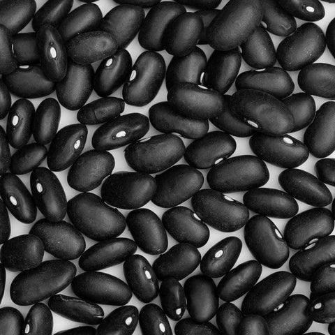 Image of Discontinued - Black Turtle Beans (10g) - My Patriot Supply