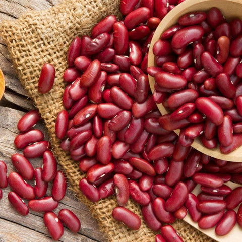 Organic California Light Red Kidney Beans (28g) - My Patriot Supply