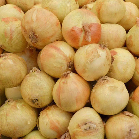 Walla Walla Onion Seeds (250mg) - My Patriot Supply