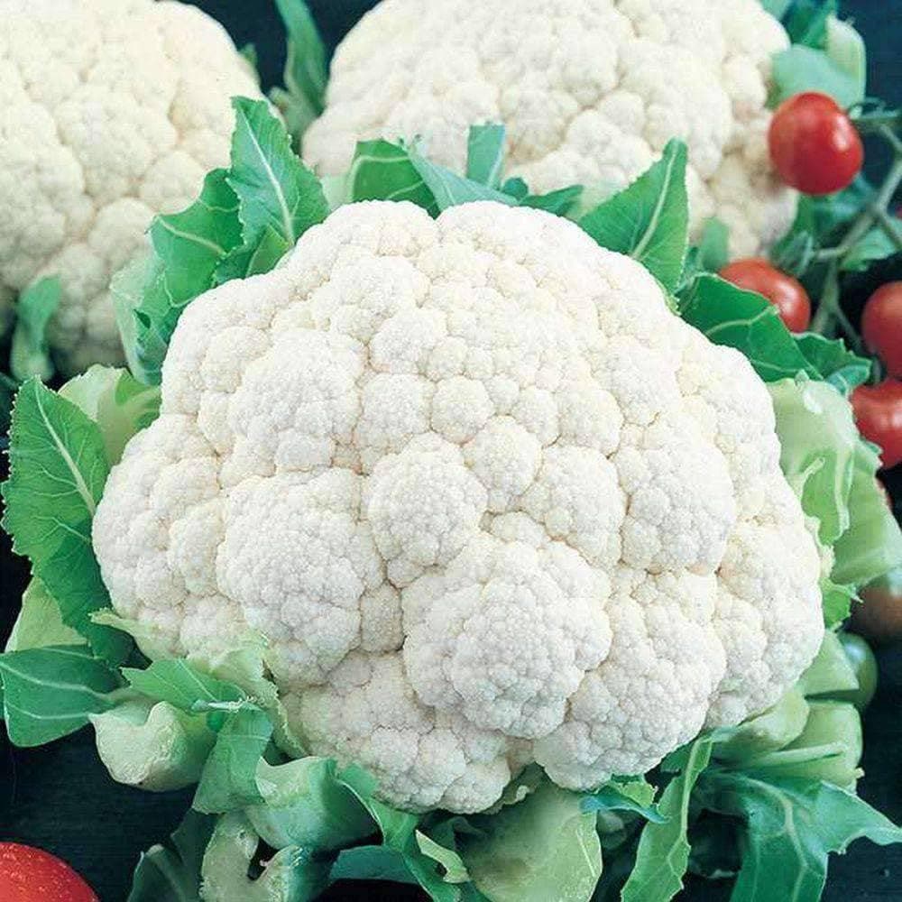 Organic Snowball Self-Blanching Cauliflower Seeds (1g) - My Patriot Supply