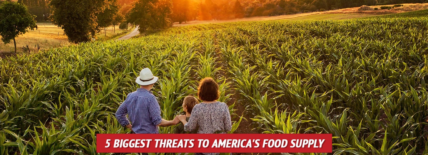 5 Biggest Threats to America's Food Supply