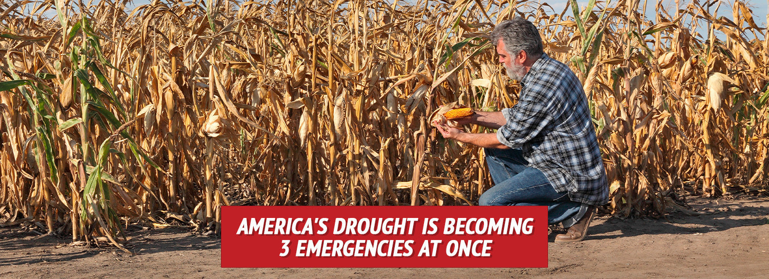America's Drought Is Becoming 3 Emergencies at Once