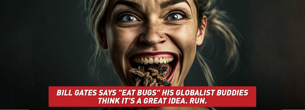 The Future of Meat Is...Bugs?