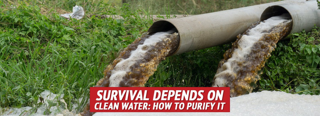 Survival Depends on Clean Water: How to Purify It