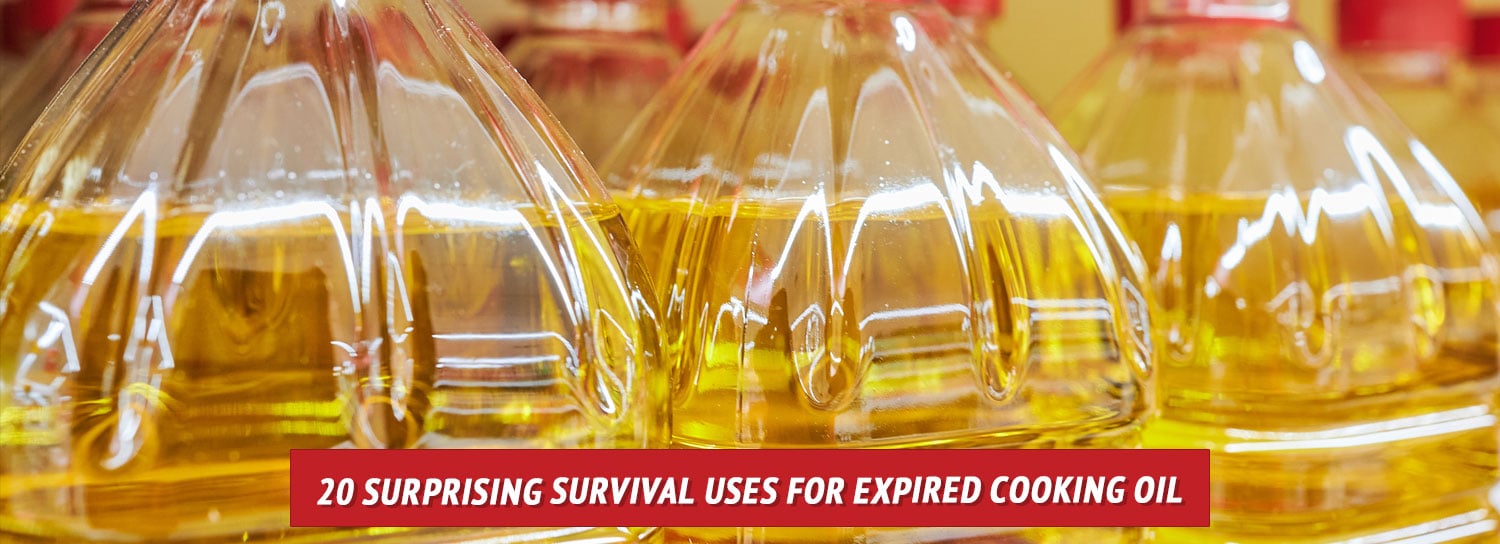 The top halves of cooking oil bottles lined up in a row.