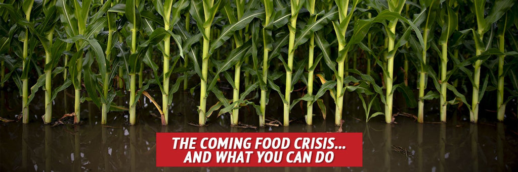 The Coming 2019 Food Crisis… and What You Can Do