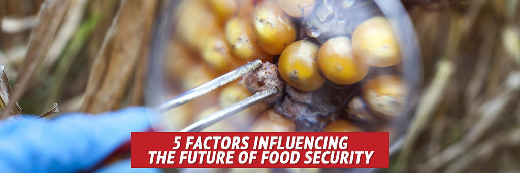 5 Factors Influencing the Future of Food Security