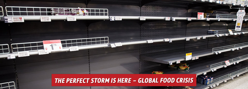 The Perfect Storm Is Here – Global Food Crisis