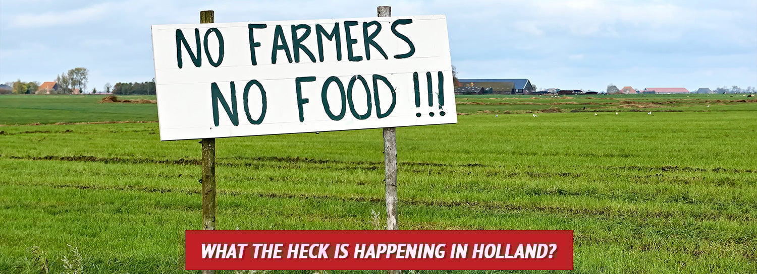 What the Heck Is Happening in Holland?