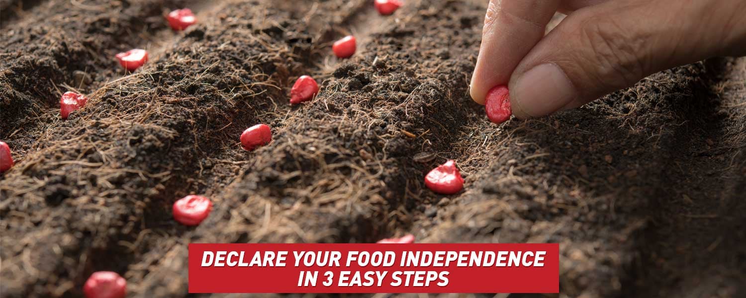 Declare Your Food Independence in 3 Easy Steps