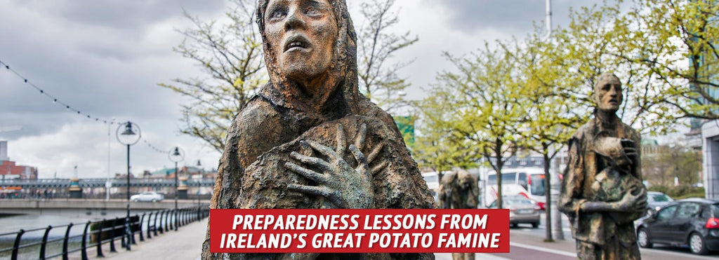 Preparedness Lessons from Ireland’s Great Potato Famine