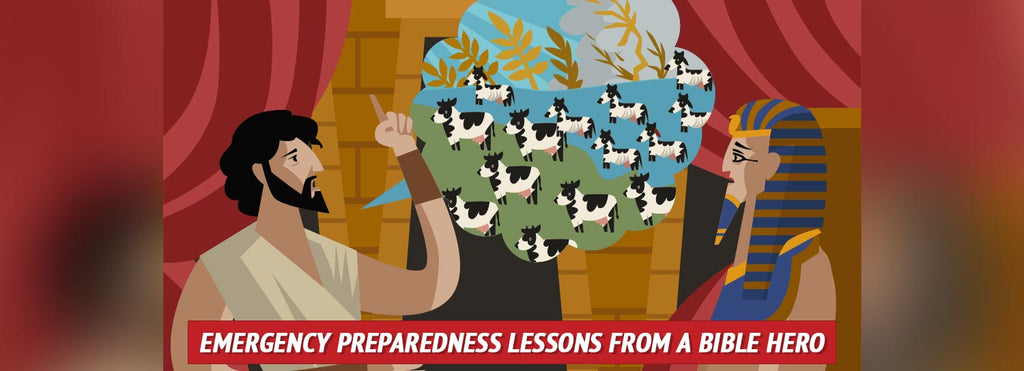 Lessons in Emergency Preparedness from Joseph