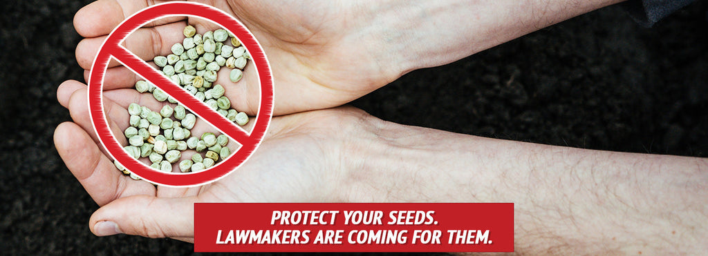 Protect Your Seeds. Lawmakers Are Coming for Them.