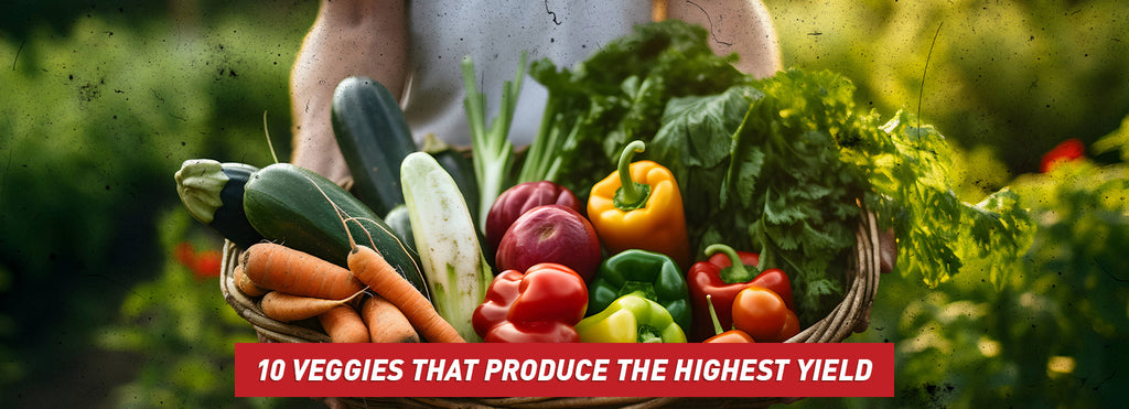10 Veggies That Produce the Highest Yield