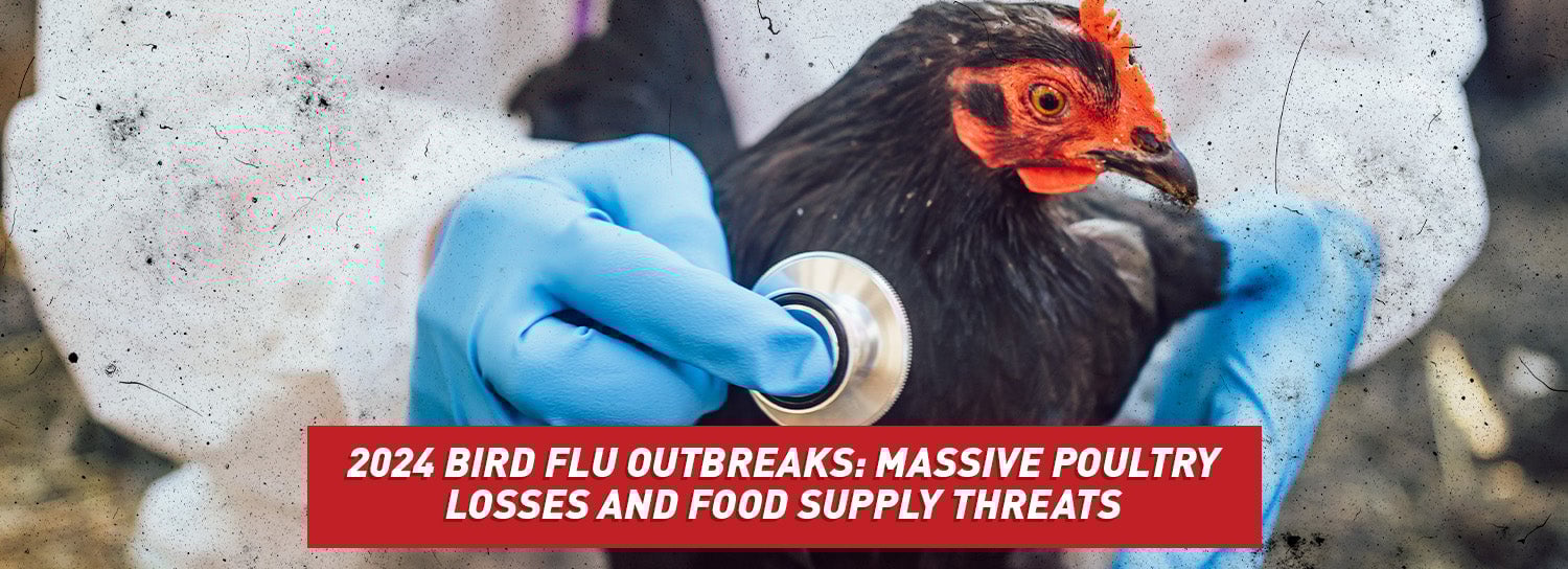 A medical professional in a hazard suit and gloves assessing care of a chicken.