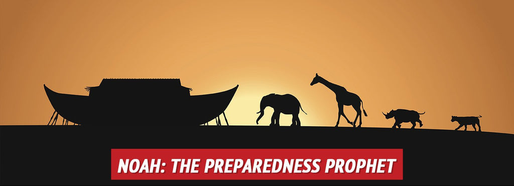 What the Bible Can Teach Us about Preparedness