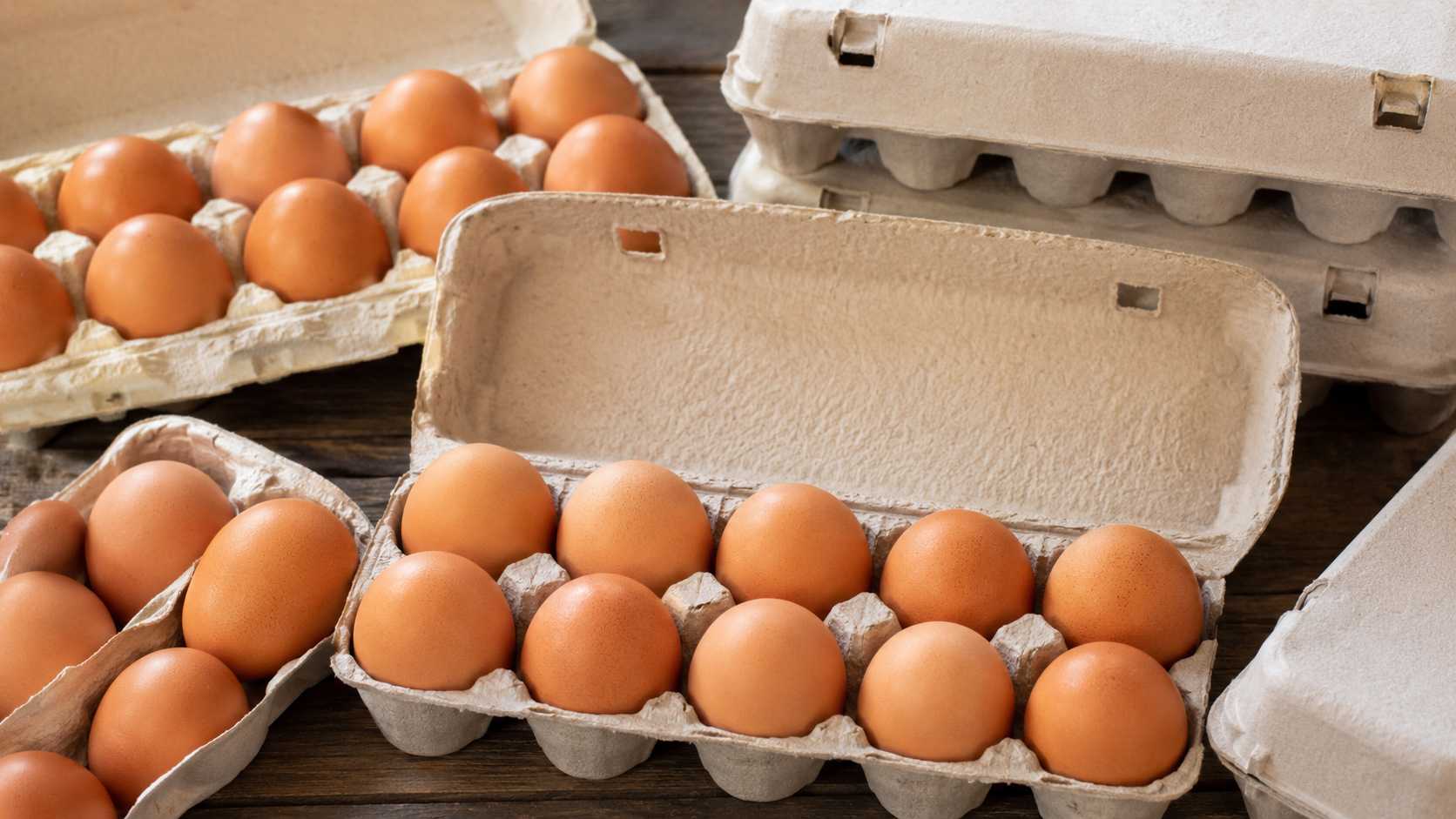Outbreak Investigation of Salmonella: Eggs (July 2026)