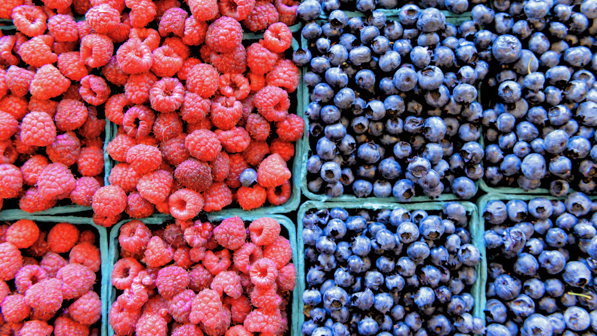 Publix Recalls Organic Frozen Berries in 8 States Due to Possible Contamination