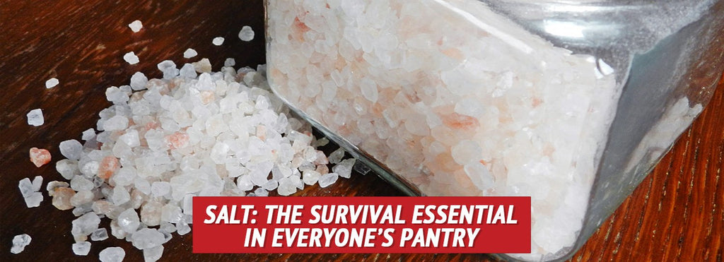 Salt: The Survival Essential in Everyone’s Pantry