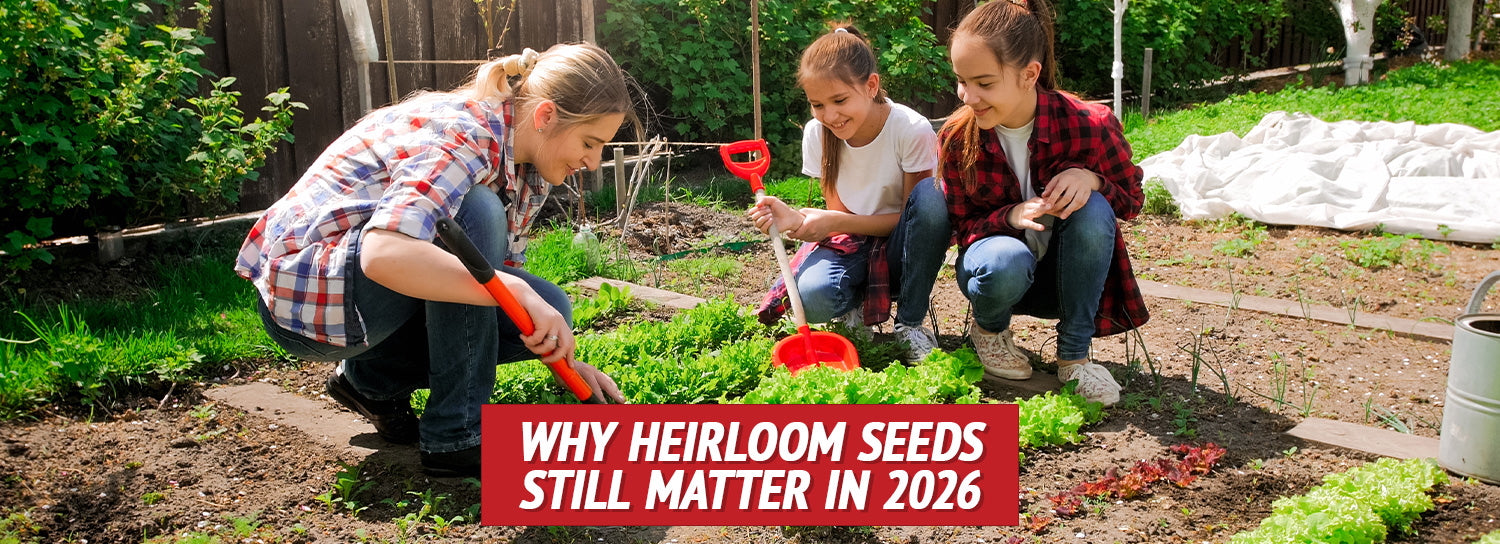 Why Heirloom Seeds Matter in 2026