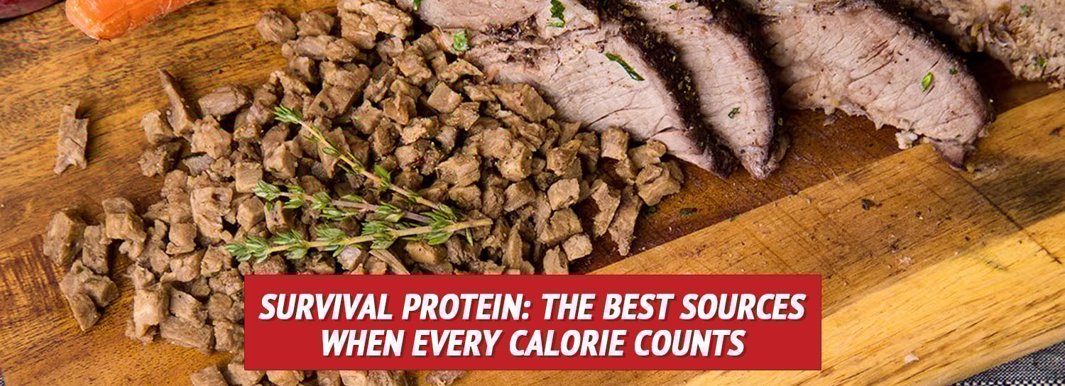 Survival Protein: The Best Sources When Every Calorie Counts
