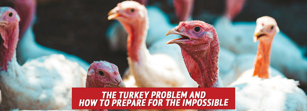 The Turkey Problem and How to Prepare for the Impossible
