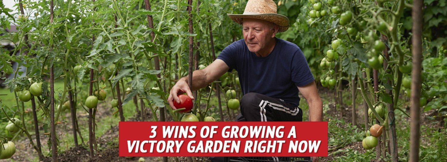 3 Wins of Growing a Victory Garden Right Now - My Patriot Supply
