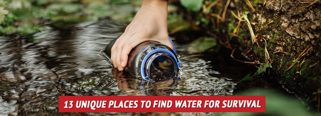 13 Unique Places to Find Water for Survival