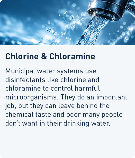 Chlorine & Chloramine: disinfectants used by municipal water systems that can leave behind taste and odor. Examples: Chlorine, chloramine