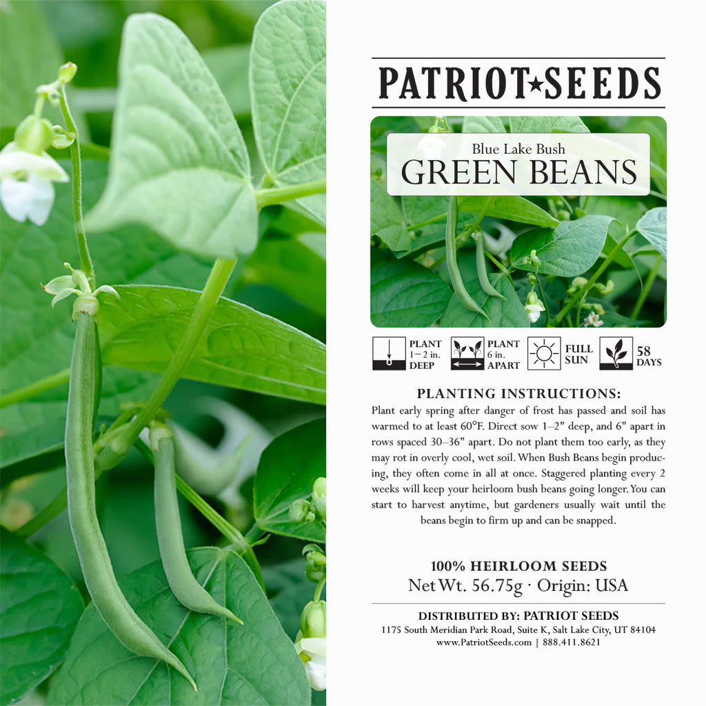 Heirloom Blue Lake Bush Beans (56.75mg) by Patriot Seeds