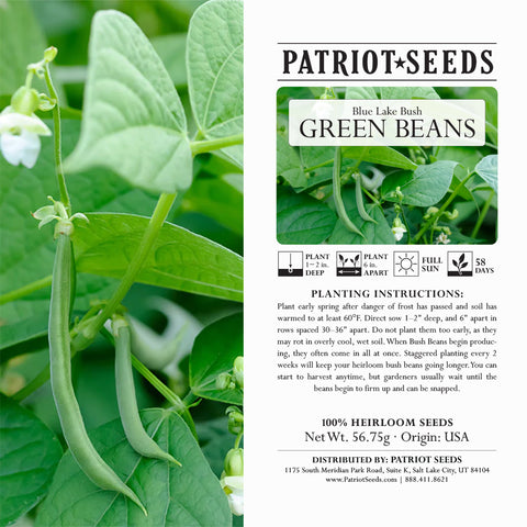 Image of Heirloom Blue Lake Bush Beans (56.75mg) by Patriot Seeds