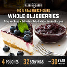 Freeze-dried blueberries with cheesecake