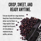 Bag of freeze-dried blueberries info text