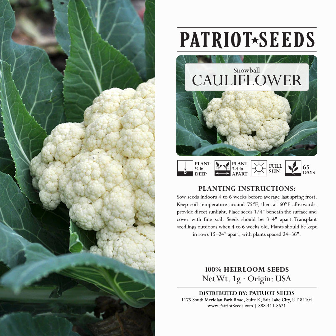 cauliflower plant seeds Snowball Cauliflower (1g)- 100% Heirloom