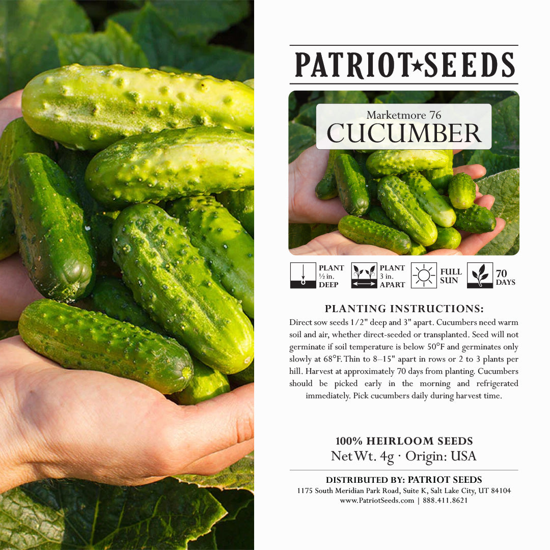 marketmore cucumber plant Marketmore 76 Cucumber Seeds (4g)- Heirloom, Non-GMO