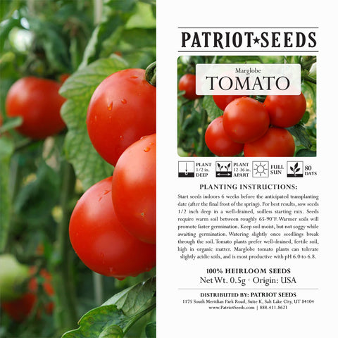 Heirloom Marglobe Tomato Seeds (.5g) by Patriot Seeds