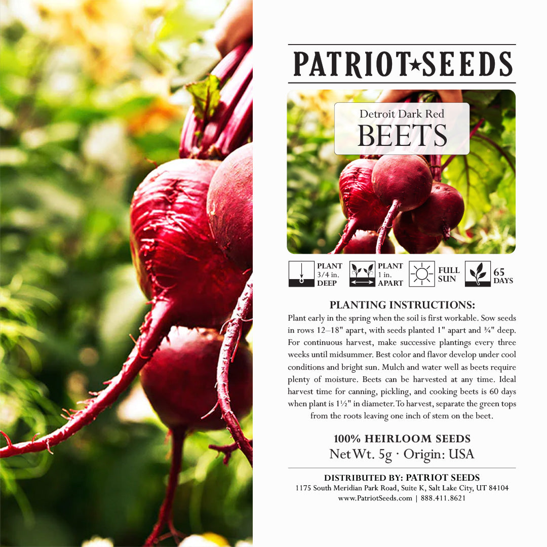 plant beet seeds Beets: Detroit Dark Red (5g)- Heirloom, Non-GMO Seeds