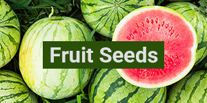 My Patriot Supply: Fruit Seeds