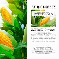 Thumbnail for Heirloom Golden Bantam Yellow Sweet Corn (56.75mg) by Patriot Seeds