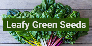 My Patriot Supply: Leafy Green Seeds