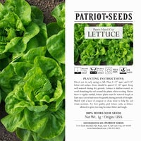 Thumbnail for Heirloom Parris Island Cos Lettuce Seeds (1g) by Patriot Seeds