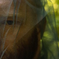 Thumbnail for Mosquito Head Net by Ready Hour