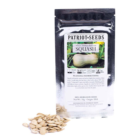 Image of Heirloom Waltham Butternut Squash Seeds (10g) by Patriot Seeds