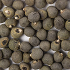Heirloom Clemson Spineless Okra Seeds (4g) by Patriot Seeds Closeup