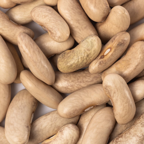 Image of contender beans dry closeup