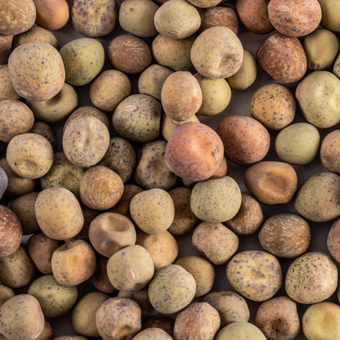 Image of Heirloom Dwarf Gray Sugar Pea Seeds (24g) by Patriot Seeds Closeup